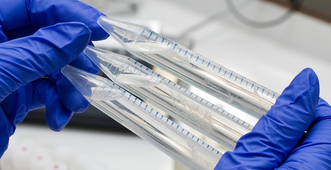 Scientist holds sample tubes