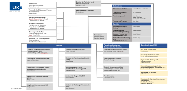 Organigramm der DPP