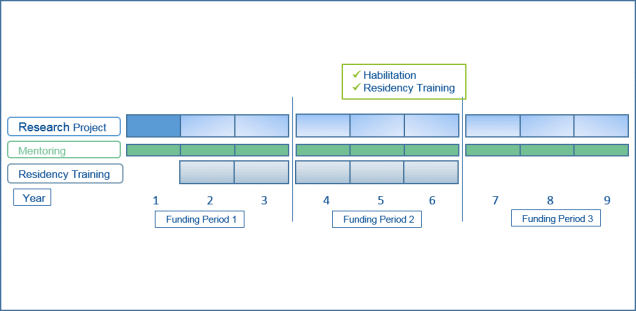 Aufbau des Clinician Scientist Programms 