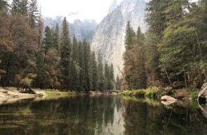 See am Yosemite National Park