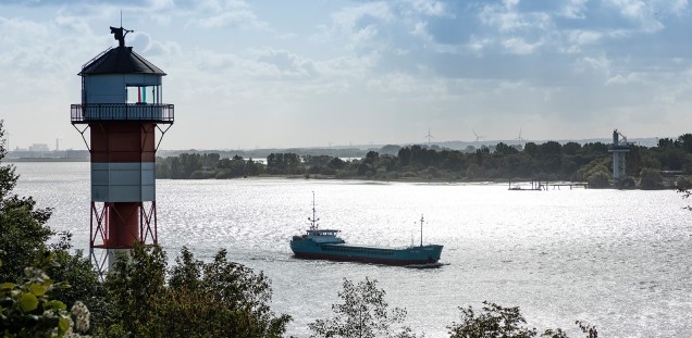 Naturschutzgebiet Wittenbergener Heide