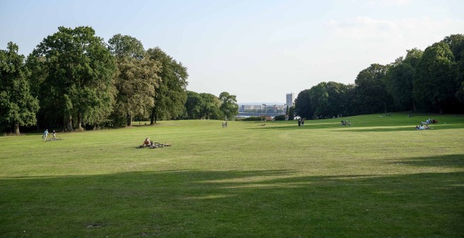 Blick vom Jenisch-Haus zur Elbe. eine weite Sichtachse über den Rasen mit altem Baumbestand links und rechts