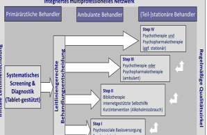 Integriertes multiprofessionelles Netzwerk