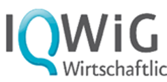 Externe Expertise für Projekte des Instituts für Qualität und Wirtschaftlichkeit im Gesundheitswesen (IQWIG)