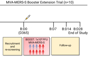 Study design and trial profile