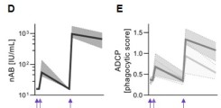 Subclasses and functionality of vaccine-induced antibodies