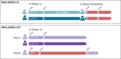 MVA-SARS Study Scheme