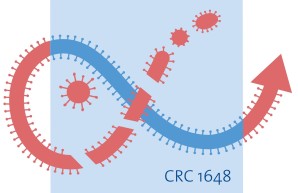 CRC 1648