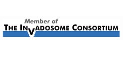 Image Invadosome Consortium