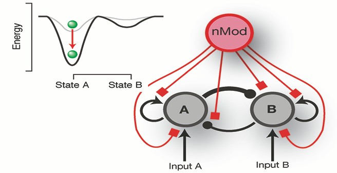 Research Group "Decision_Neuroscience"