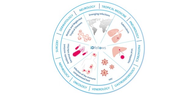 iDfellows Forschungsfelder klein