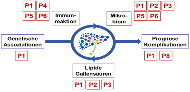 Grafische Übersicht der sieben Projekte