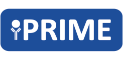 iPRIME EKFS