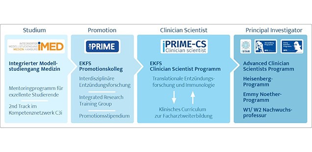 Beschreibung des Ausbildungszyklus von iMED, iPRIME, iPRIME-CS und iSTAR