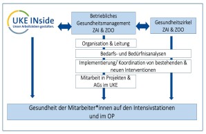 Organigramm UKE INside