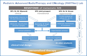 Overview MSNZ PARTNer Lab