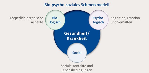 Welche Einflussfaktoren wirken bei Schmerzen auf den Menschen ein?