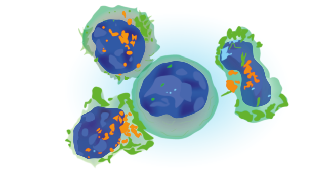 Grafische Elemente stellen des Immunsystem dar