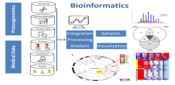 Schema Big Data Informationsfluss