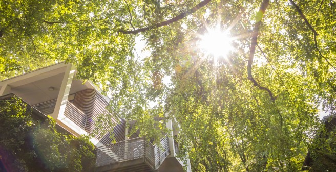 Herzlich willkommen in unserem Familienbaumhaus