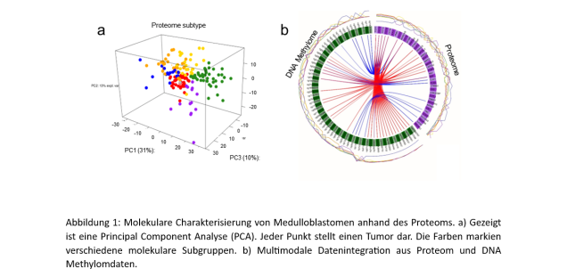 Abbildung 1