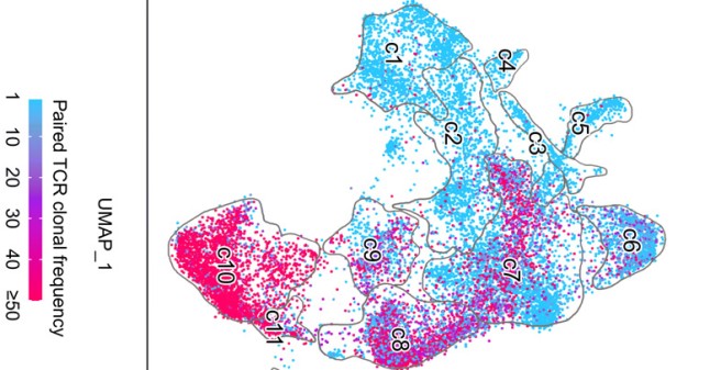 ScienceImmunology Data