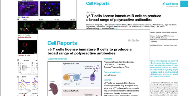 Tan_Sci_Immunol 2021