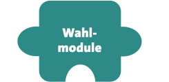 Wahlmodule