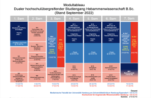 Modultableau für den dualen hochschulübergreifenden Studiengang Hebammenwissenschaft B.Sc.